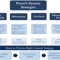 Niche cost leader strategy capsim