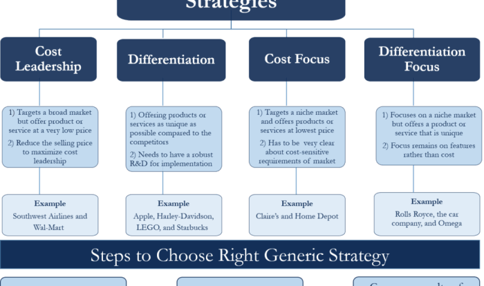 Niche cost leader strategy capsim