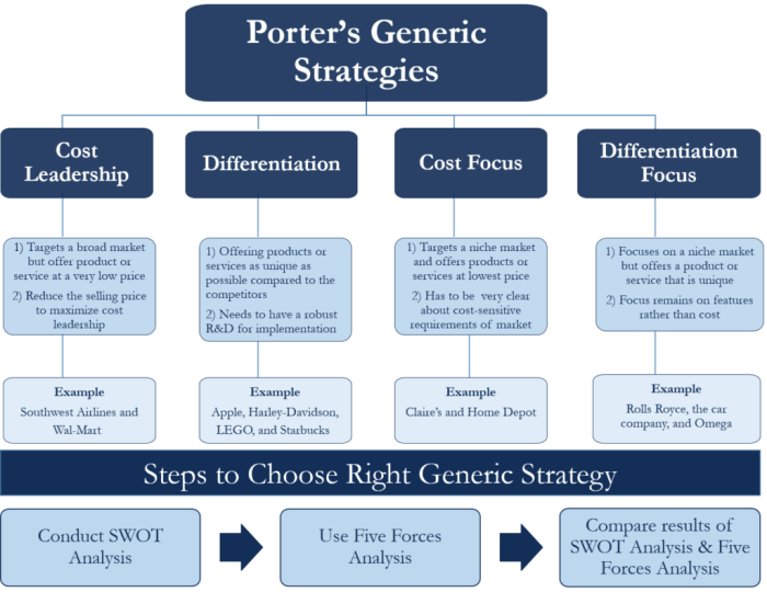 Niche cost leader strategy capsim