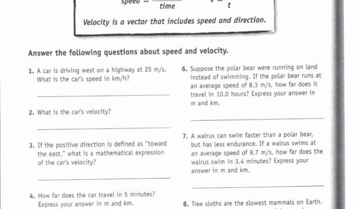 Bill nye motion worksheet answer key