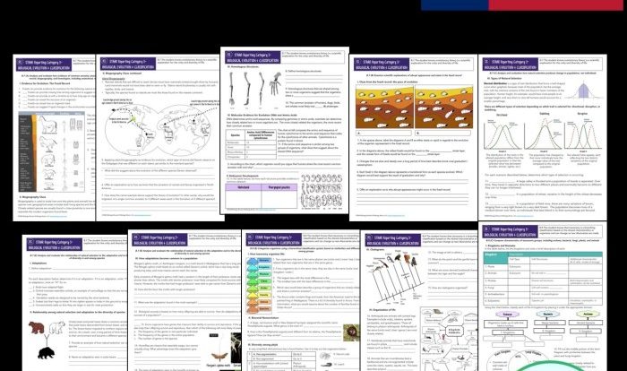 Staar reporting category 4 biological processes and systems answer key