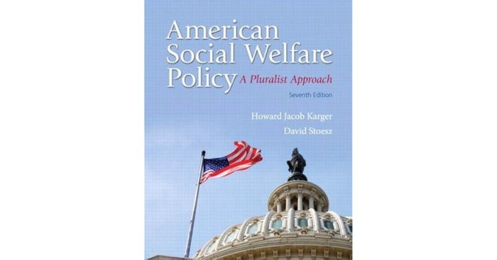 American social welfare policy a pluralist approach 8th edition