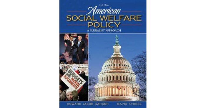 American social welfare policy a pluralist approach 8th edition