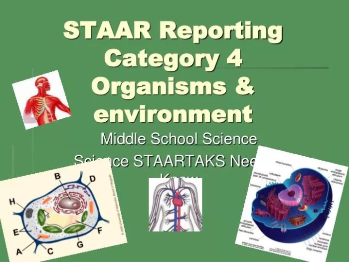 Staar reporting category 4 biological processes and systems answer key